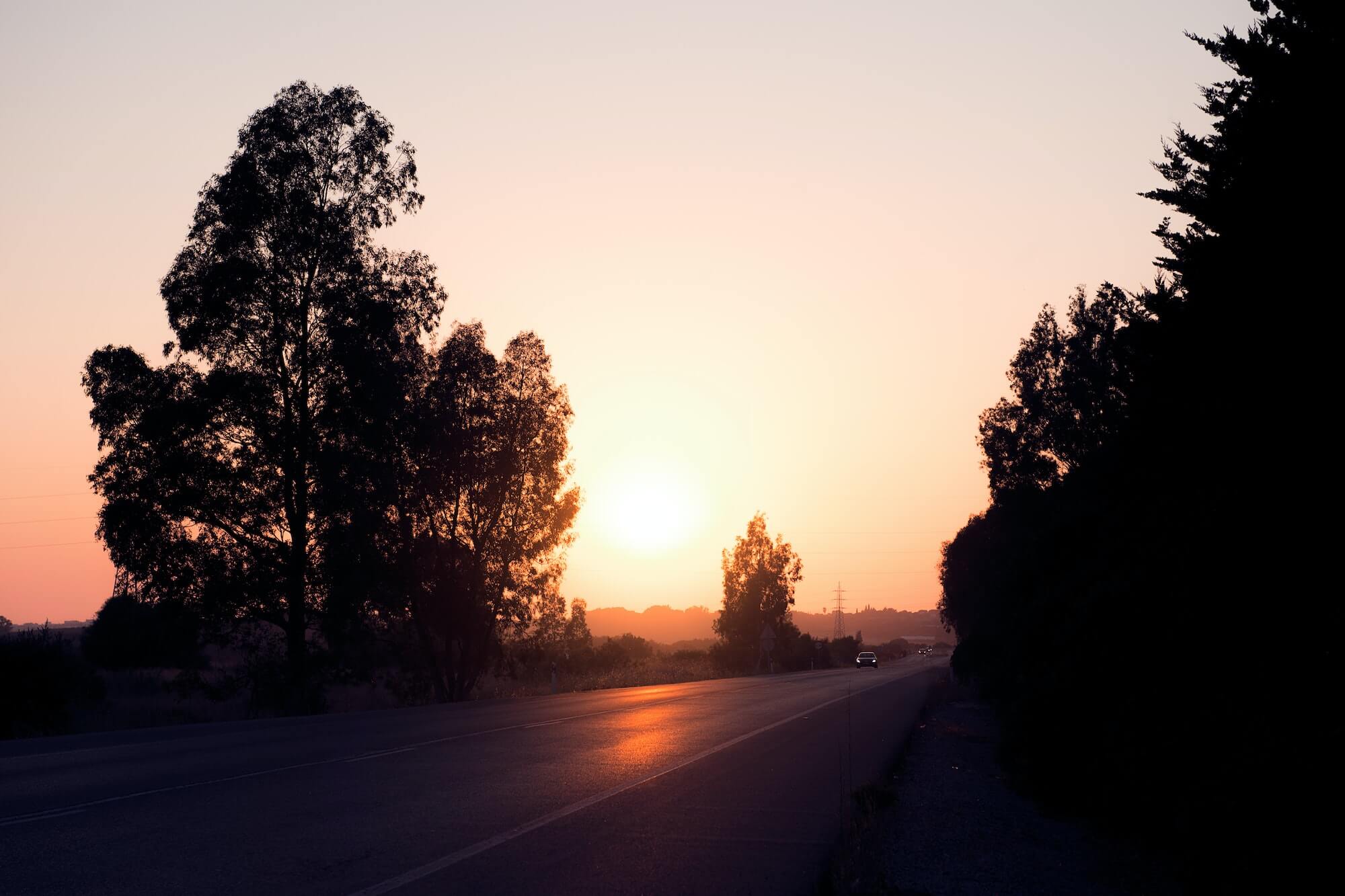 county road at sunset among trees in silhouette